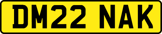 DM22NAK