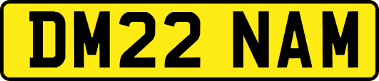 DM22NAM
