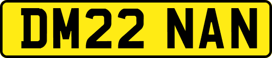DM22NAN