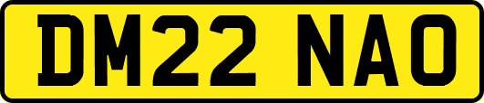 DM22NAO
