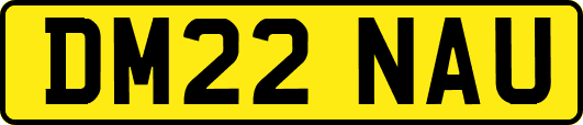 DM22NAU