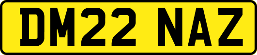DM22NAZ
