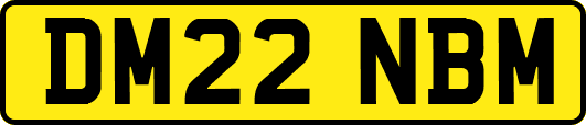 DM22NBM