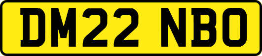 DM22NBO
