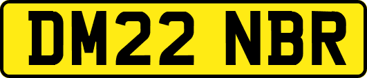 DM22NBR