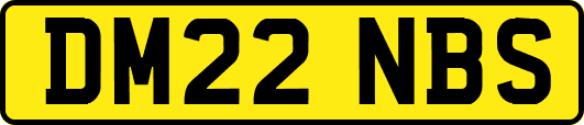DM22NBS
