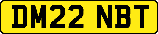 DM22NBT