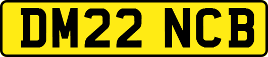 DM22NCB