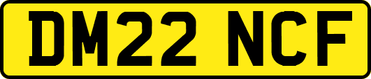 DM22NCF