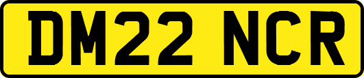 DM22NCR