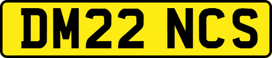 DM22NCS
