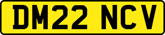 DM22NCV