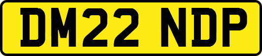 DM22NDP