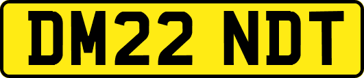 DM22NDT