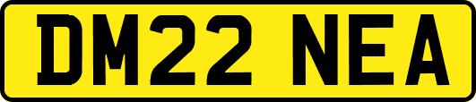 DM22NEA