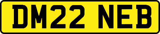DM22NEB