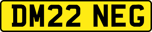 DM22NEG
