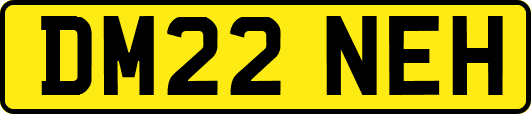 DM22NEH