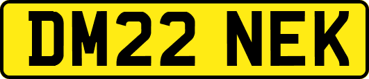 DM22NEK