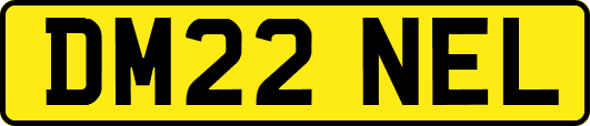DM22NEL
