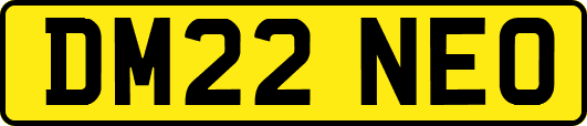 DM22NEO