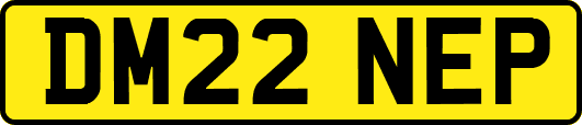 DM22NEP