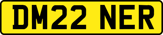 DM22NER