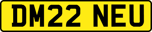 DM22NEU