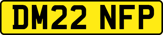 DM22NFP