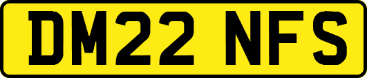 DM22NFS