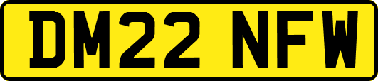 DM22NFW