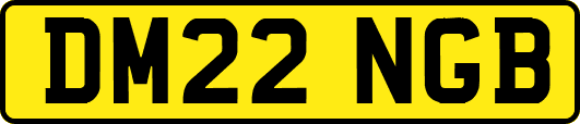 DM22NGB