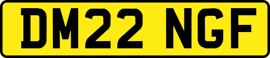 DM22NGF