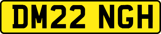 DM22NGH
