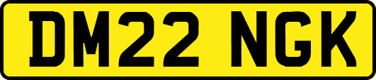 DM22NGK