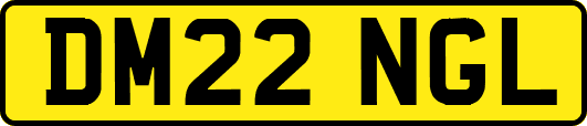 DM22NGL