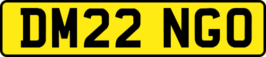 DM22NGO