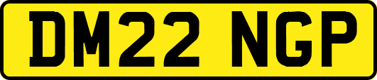 DM22NGP