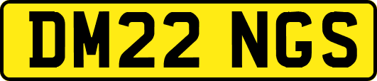 DM22NGS