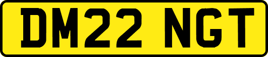 DM22NGT