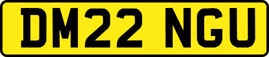 DM22NGU