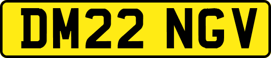 DM22NGV