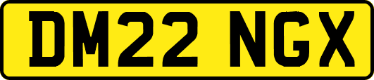 DM22NGX
