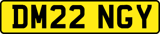 DM22NGY