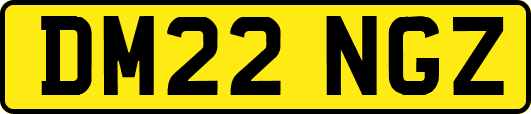 DM22NGZ