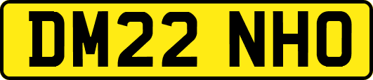 DM22NHO
