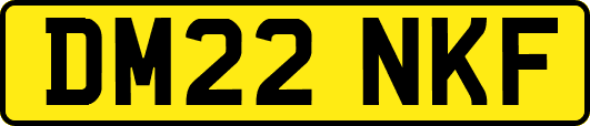 DM22NKF