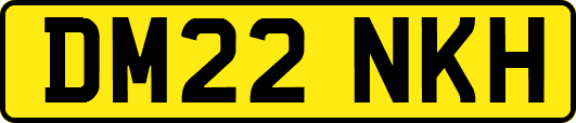 DM22NKH