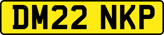 DM22NKP