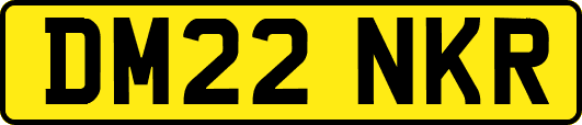 DM22NKR